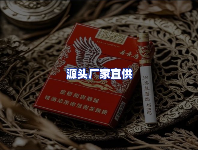 专业团队